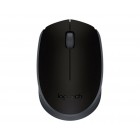 LogitechM171